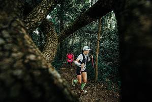 BIB: 
                            <button type="button" onclick="openModal(25666711)" class="btn btn-primary btn-sm float-right btn-popup" data-toggle="modal" data-target=".modal-high-quality">
                        <i class="fas fa-shopping-cart"></i> Add to Cart
                    </button>
                                            <button type="button" onclick="isThisMe(25666711, true)" class="btn btn-success btn-sm float-right btn-popup btn-isme hidden" data-toggle="tooltip" data-placement="bottom" title="นี่คือรูปของคุณใช่ไหม คลิกที่นี่เพื่อเอาเข้าอัลบั้ม">
                        <i class="fas fa-plus"></i> Add to album
                    </button>
                    <button type="button" onclick="isThisMe(25666711, false)" class="btn btn-warning btn-sm float-right btn-popup btn-isnotme hidden">
                        <i class="fas fa-ban"></i> Remove from album
                    </button>